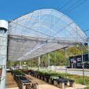 헬로우마켓 이미지