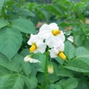 춘하추동 이미지