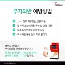 레푸스마곡 이미지