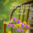 🇱🇷트럼프 대통령 당선과 한국의 미래 (이충양교수,피츠버그대,경영대) 이미지