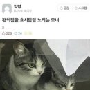 호시탐탐 - 남구 | 호시탐탐
