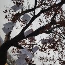 이수중학교 이미지