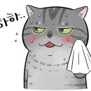 지엔브이 이미지