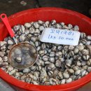 청양시장 이미지