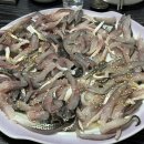 광어총각 생굴처녀 이미지