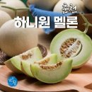 메로나보다 달콤한 하니원 멜론 특가 정보🍈 이미지