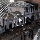 meta plant 이미지