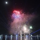 2025 마산 가고파 국화 축제 2025. 1. 5 이미지