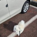 구좌체육공원 체육관 이미지