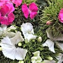 헬씨라이프 이미지