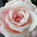 세양빌딩 이미지