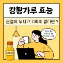 마음의 나무가 자라는 그린 과학교실 | 강황가루 효능