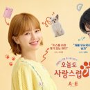 더 사랑스럽개 이미지