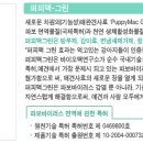 국제특허맥