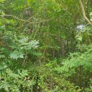 수산리 종합복지회관 이미지