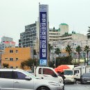 용초화장실 | 통영항여객선터미널 소매물도 섬여행 가는법 서호시장 (ft. 경상도 여행)