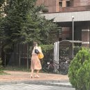 조정형외과자판기 | #일상기록 #주간일기 9월 네번째