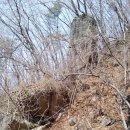 영우농장 이미지