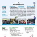 금하마을(도시재생) 1 이미지