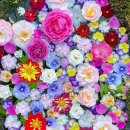 광산구-121 이미지