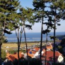 퓌센하우스 이미지