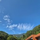 영동군 관광안내소 이미지