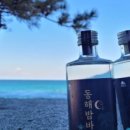 낙원밤바다 이미지