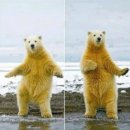 스테이크 팩토리 이미지