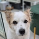 도곡종합동물병원 이미지