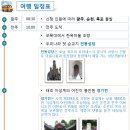 걸리버여행사