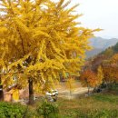 발교산산장