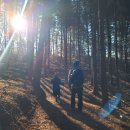 도대1리 마을회관 이미지