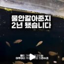 수연약품 이미지