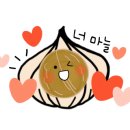 노바짐(NOVA GYM) 이미지