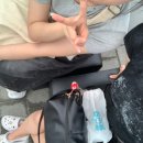 넥스트존 | ON Vol.2' 중콘 후기 (KSPO 돔, 보넥도 콘서트, 보이넥스트도어, 보넥도 콘서트 후기, 럭키도어, 체조...