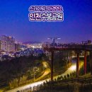 인천 야경 명소 수봉공원 스카이워크 드라이브 코스 갈만한곳
