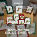 충남대학교 자연사박물관 이미지