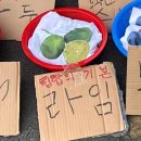향남킹전자담배 네이버블로그