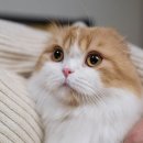 청량리 슬기 동물병원 이미지