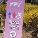 노산동 공영주차장 및 커뮤니티센터 | 2026 sk인천석유화학 벚꽃동산 기간, 주차꿀팁,입장료