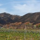 낙평주유소 이미지