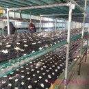 한진농장 이미지