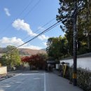 정원 | 나라 당일치기 이스이엔 정원 방문 후기