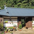 꽃피는 무릉도원 이미지