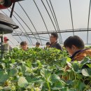 최종명농장 이미지