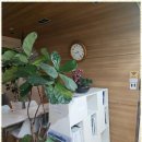 인터넷행정사무소 이미지