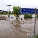 부안 기러기 농장 이미지