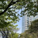 2호선 센텀시티역 4번출구 이미지