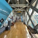 윌리엄가든 | 런던 여행 타워브릿지(전망대, 개폐시간 일정, 입장료). 더 가든 앳 120(전망대) 입장 방법, 예약 후기