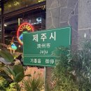 제주느낌 | 용인 기흥구청 맛집 제주 느낌 낭낭한 고깃집 제줏간 후기